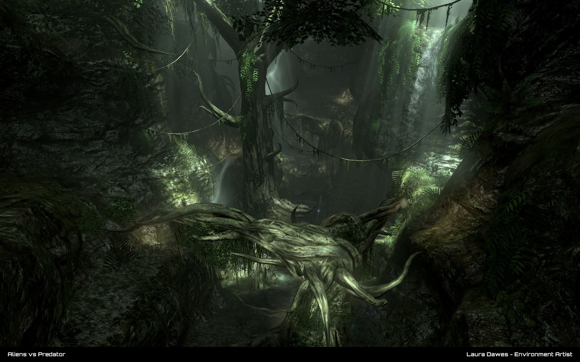 AVP_Jungle_road